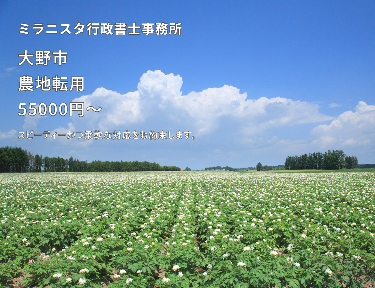 ミラニスタ行政書士事務所　大野市　農地転用55000円～　スピーディかつ柔軟な対応をお約束します。